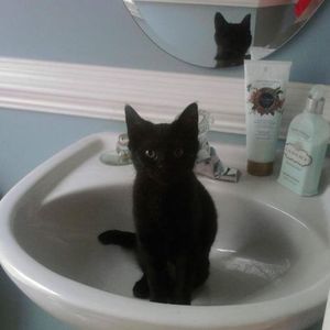 Meet your Posher, Mimi